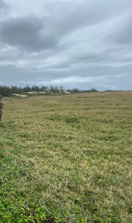 LÔ ĐẤT VỊ TRÍ ĐẸP – GIÁ ƯU ĐÃI Chính Chủ cần bán nhanh 2 lô đất ven biển tại Tân Thắng , Bình Thuận