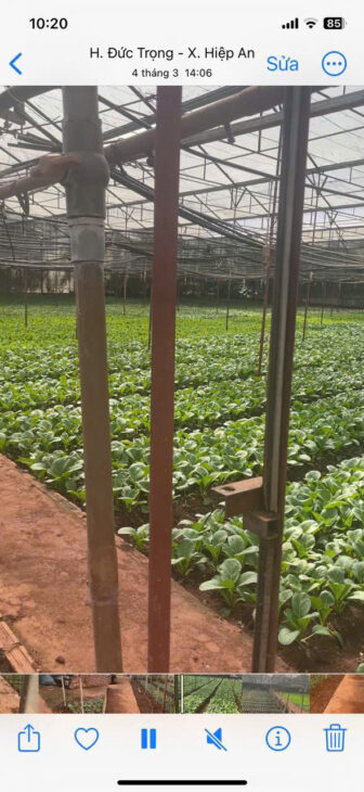 HẠ GIÁ KỊCH SÀN – BÁN GẦN 5000M2 HIỆP AN – GIẢM 5 TỶ