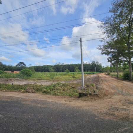 Bán đất Sào ở HCM mới