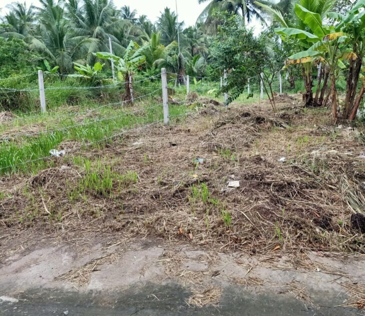 ĐẤT ĐẸP – CHÍNH CHỦ CẦN BÁN LÔ ĐẤT TẠI Tân Thạch , Châu Thành , Bến Tre