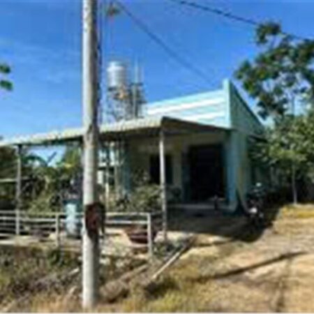 CHÍNH CHỦ Cần BÁN GẤP Nhà Vườn Sầu Riêng Tại Xã Trà Cổ, Huyện Tân Phú, Tỉnh Đồng Nai