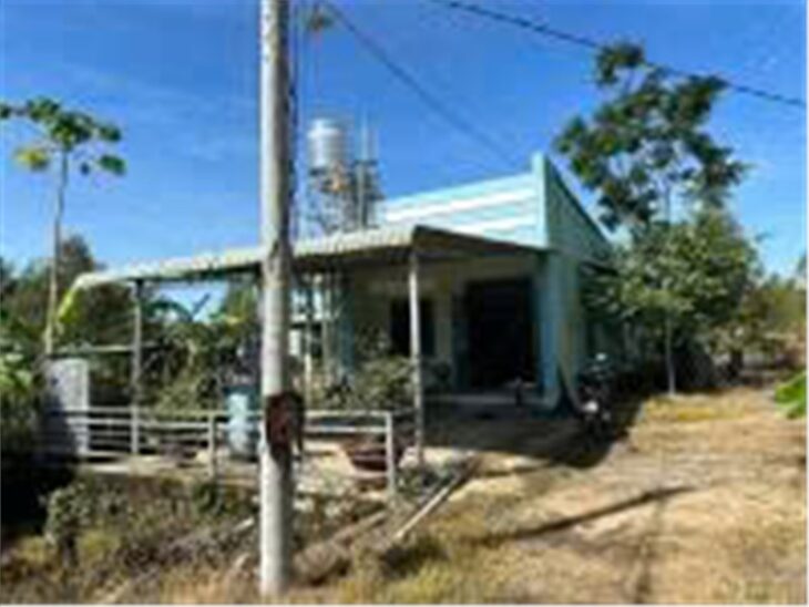 CHÍNH CHỦ Cần BÁN GẤP Nhà Vườn Sầu Riêng Tại Xã Trà Cổ, Huyện Tân Phú, Tỉnh Đồng Nai