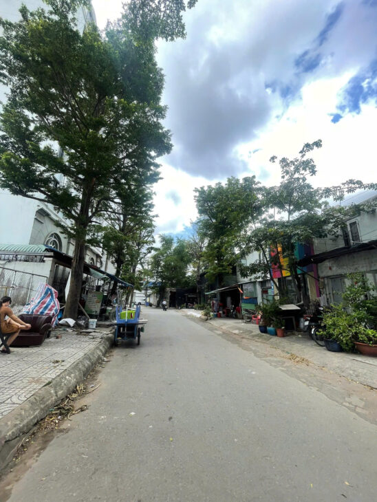 chuyên bán đất khu vực phố tây thảo điền quận 2 , xây dựng 5 tầng