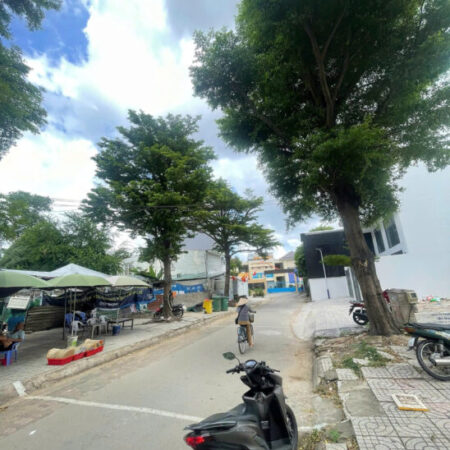 chuyên bán đất khu vực phố tây thảo điền quận 2 , xây dựng 5 tầng