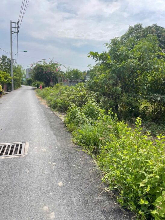 Sở hữu ngay lô đất lớn có thổ cư tọa lạc tại Cần Giờ, Tphcm chỉ 1,5tr/m2 oto tới đất view rạch lớn