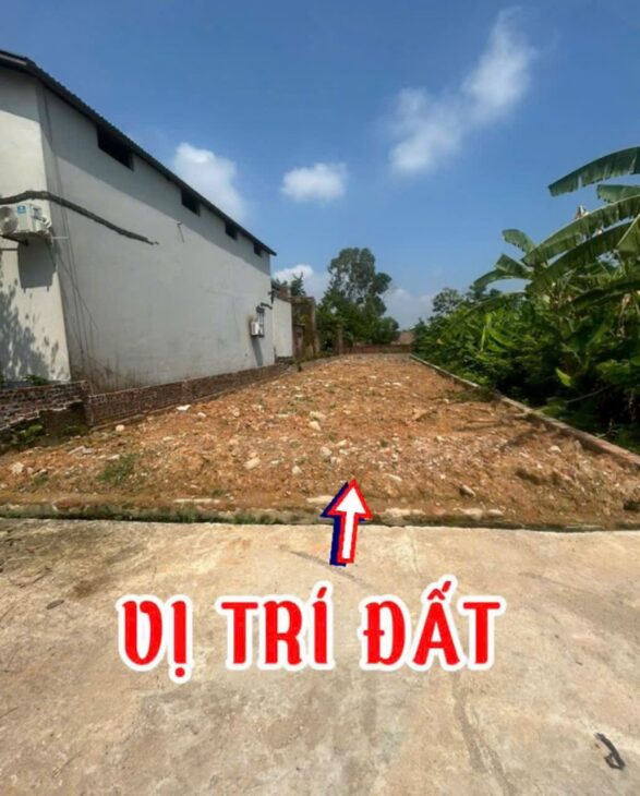 ĐẤT ĐẸP FULL THỔ CƯ – CHÍNH CHỦ BÁN NHANH Tại XUÂN ĐỒNG, TÂN MINH, SÓC SƠN