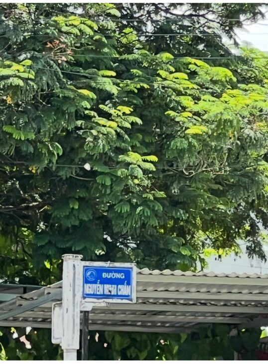 LÔ ĐẤT VỊ TRÍ ĐẸP – GIÁ TỐT sở hữu ngay lô đất tiềm năng vị trí tại Quận Liên Chiểu, thành phố Đà