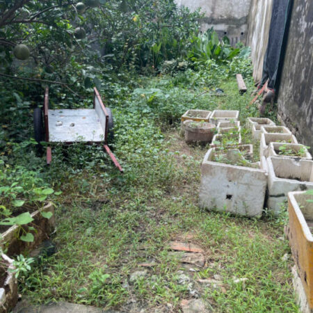 Vĩnh Quỳnh 9.45 tỉ đất