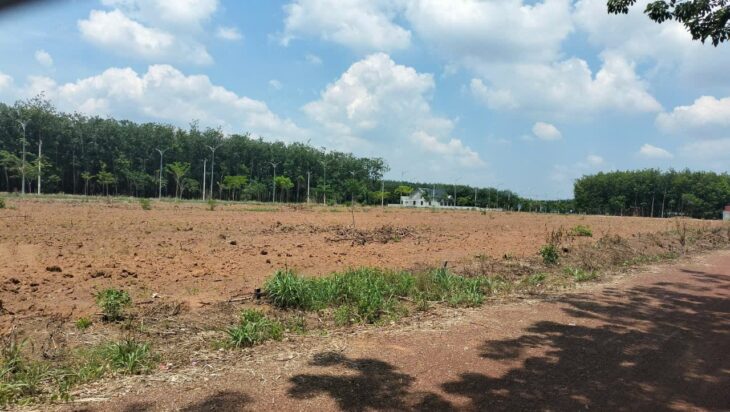 ĐẤT ĐẸP – GIÁ TỐT – Bán GẤP Lô Đất Tiềm Năng Tại Xã Tân Lợi ĐỒNG Phú Bình Phước