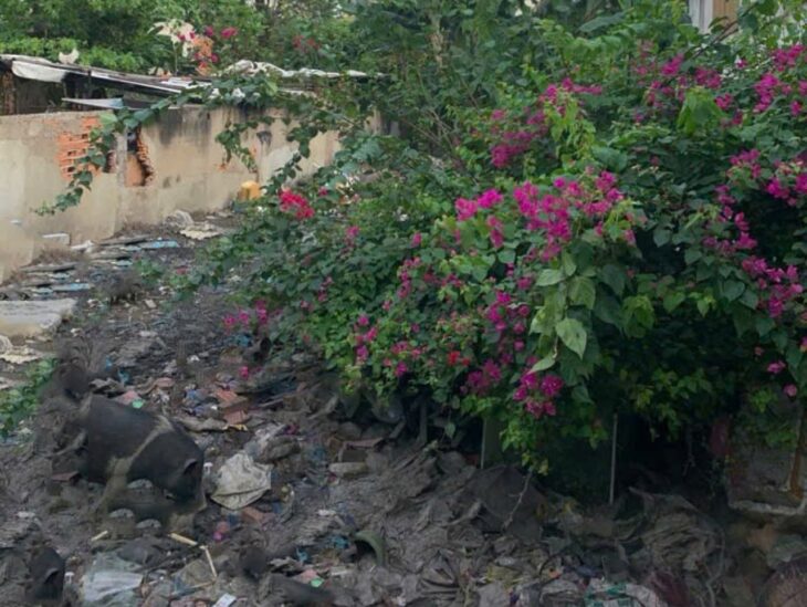 Giảm 500tr! Đất SHR Nở hậu HXH 469m2 – Phan Văn Hùm Quận 12 SSS