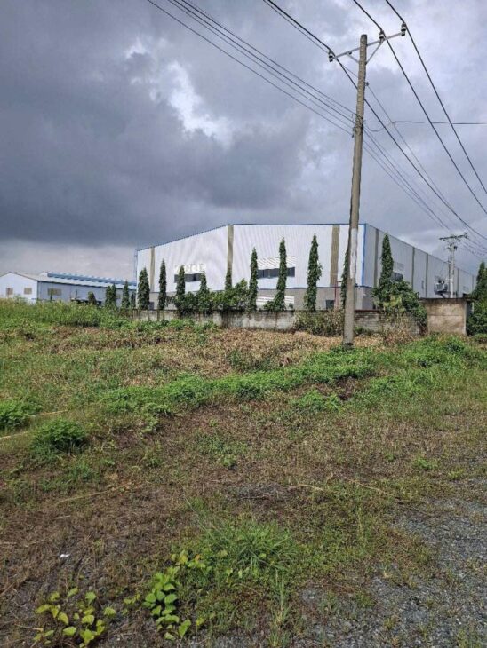 Đất SHR Đường 20m 6505m2, Lô góc – An Hạ Bình Chánh SS