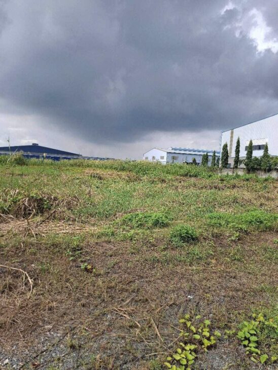 Đất SHR Đường 20m 6505m2, Lô góc – An Hạ Bình Chánh SS