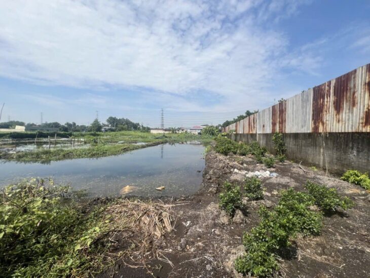 Giảm 14tỷ! Đất Mặt tiền Đ.8m 5870m2, Nở hậu – Đông Thạnh 2 Hóc Môn S