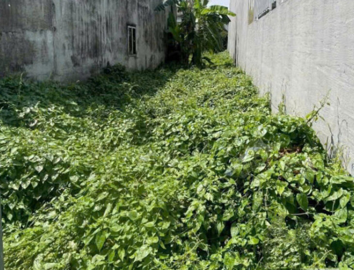 Đất Mặt tiền SHR Nở hậu nhẹ HXH 117m2 – Thạnh Lộc 51 Quận 12 SS