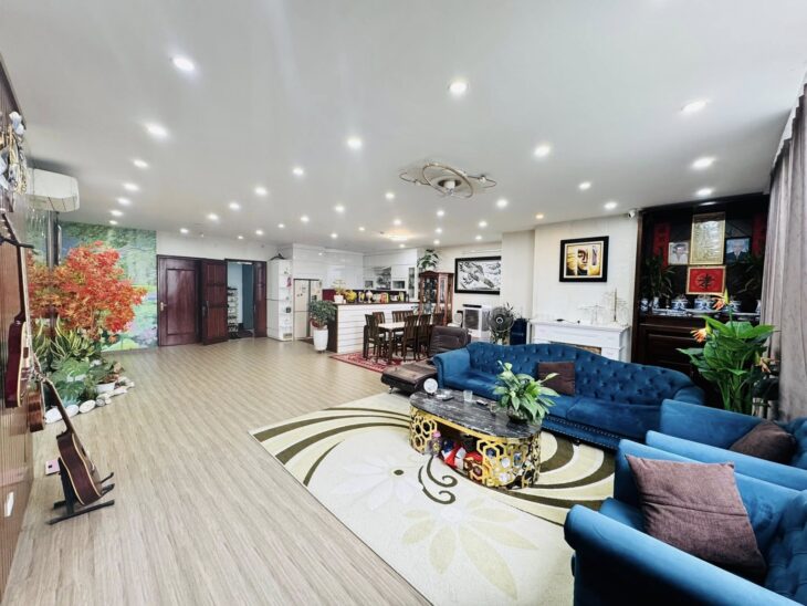 ???? CĂN HỘ CHUNG CƯ CAO CẤP HẠ ĐÌNH 206M2 4PN+4WC, SĐCC, CHỈ 13.3 TỶ ????