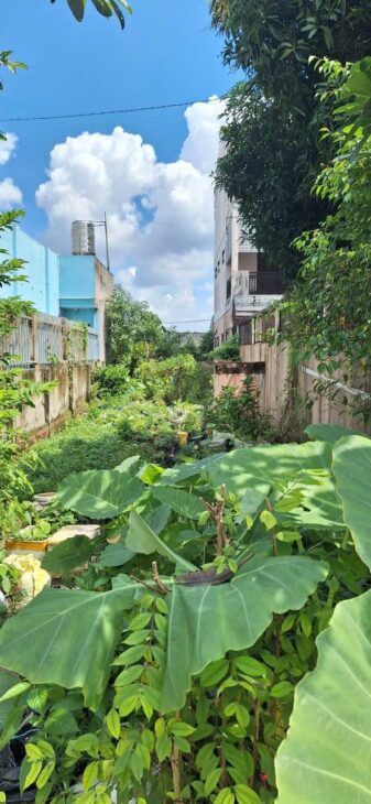 ĐẤT MẶT TIỀN ĐƯỜNG TÂN HIỆP 08, SÁT MẶT TIỀN ĐƯỜNG DƯƠNG CÔNG KHI. VỊ TRÍ ĐẮC ĐỊA KINH DOANH SẦM