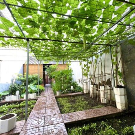 Bán nhà Đường 27, Phường Phước Long, HCM – DT 92m2, 2PN, Sổ Đỏ, 5.75 tỷ.