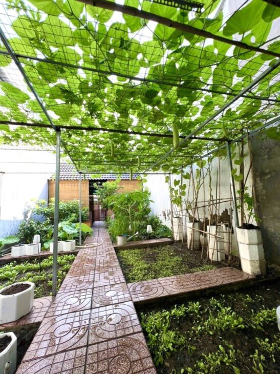 Bán nhà Đường 27, Phường Phước Long, HCM – DT 92m2, 2PN, Sổ Đỏ, 5.75 tỷ.