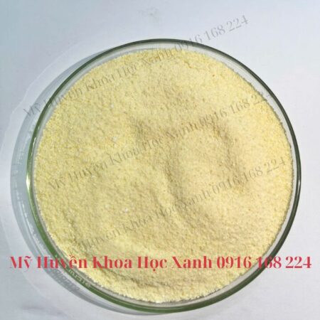 X-one dinh dưỡng dẫn dụ thế hệ mới X-one dinh dưỡng dẫn dụ thế hệ mới