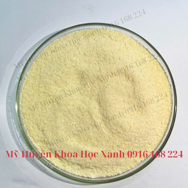X-one dinh dưỡng dẫn dụ thế hệ mới
