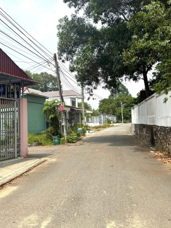 ĐẦU TƯ HÔM NAY – SINH LỜI MAI SAU