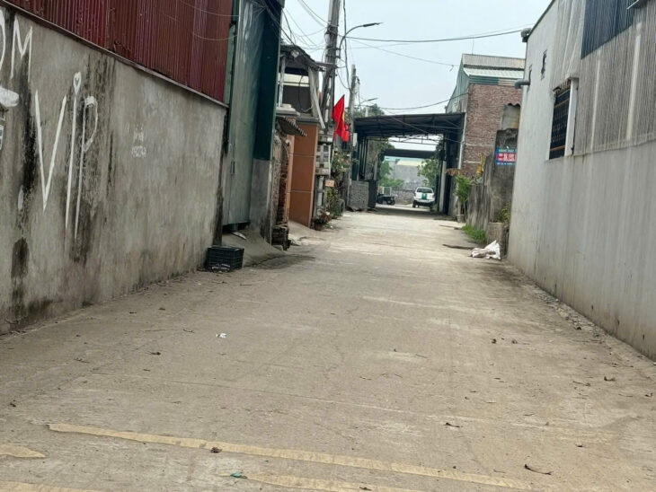 ✅ Bán 84m đất đấu giá Bến Trung, Bắc Hồng – Cạnh đường QH 40m