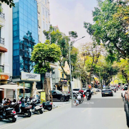 Bán nhà mặt phố Nguyễn Khang – 95m * 8Tầng Thang Máy Vỉa hè View Sông Tô Lịch Thơ Mộng KDVP