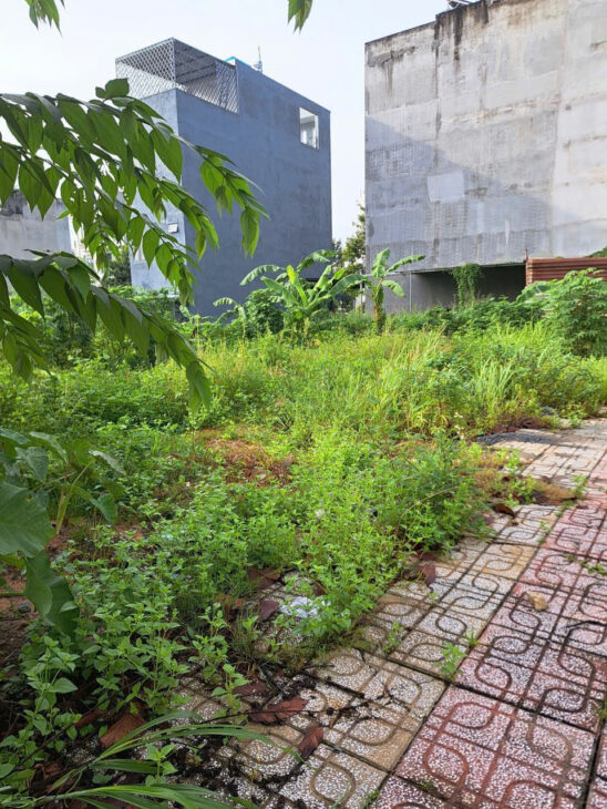 Đất 2 mặt tiền nhựa 22m Đường N2( KDC Phú Hồng Thịnh 6 ) P.Bình An, TP.Dĩ An- Bình Dương.