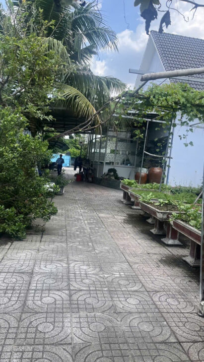 BIỆT THỰ MÁI THÁI SÂN VƯỜN SIÊU ĐẸP – NGÂN HÀNG ĐỊNH GIÁ 14.5 TỶ, BÁN CHỈ 13 TỶ! 💥