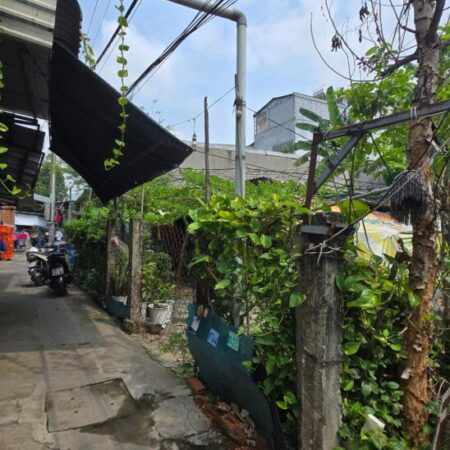 Đất ngang 11.8m hiếm – Linh Xuân Thủ Đức – SHR , Full thổ cư, chỉ 4 tỷ 500 TL