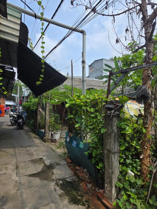 Đất ngang 11.8m hiếm – Linh Xuân Thủ Đức – SHR , Full thổ cư, chỉ 4 tỷ 500 TL