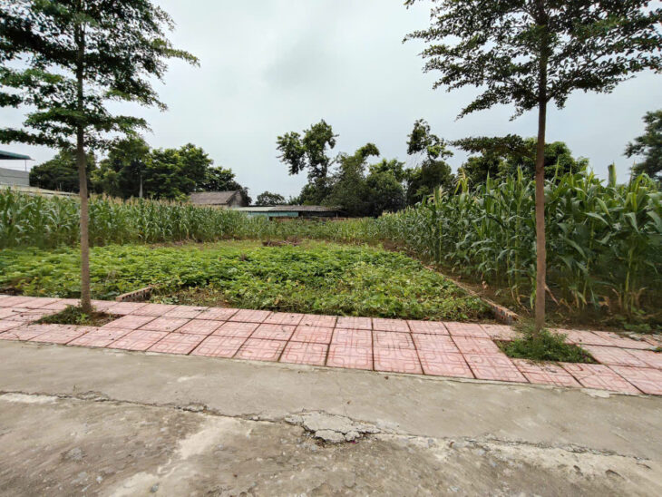 Chính Chủ Gửi Bán 144 m 50 thổ cư chỉ 1, x tỷ Nhuận Trạch Lương Sơn -HB (PHÚ THỌ MỚI)