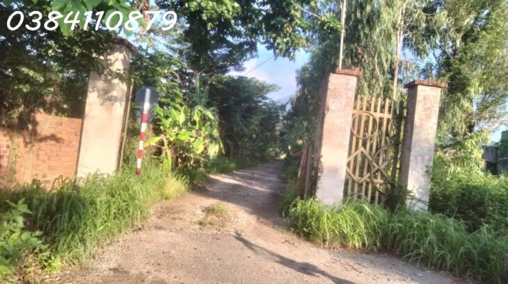 MUA gia tài 0 ĐỒNG LÀ CÓ THẬT