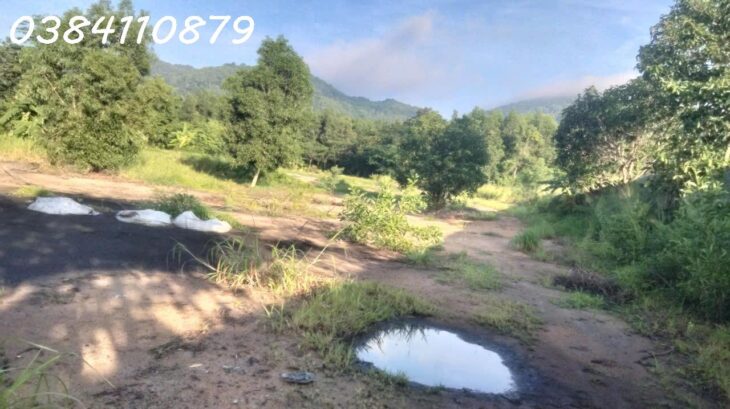 MUA gia tài 0 ĐỒNG LÀ CÓ THẬT