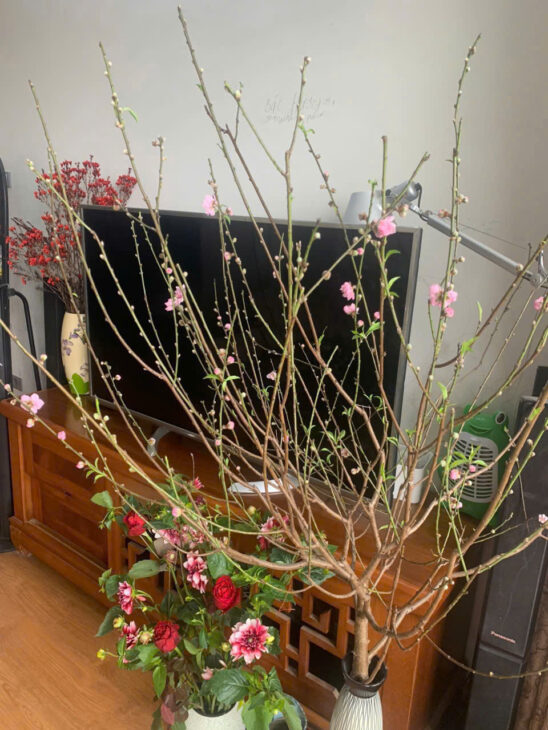 CĂN HỘ VIEW ĐẸP- ĐẦU TƯ LÀ SINH LỜI CẦN BÁN NHANH CĂN HỘ CAO CẤP khu Happy House Garden, Việt Hưng