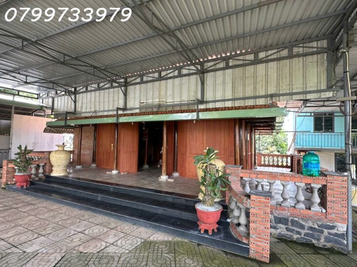 Bán 12.000m2 đất, xã Suối Rao, Bà Rịa Vũng Tàu, tặng nhà vườn, giá chỉ 14,9 tỷ