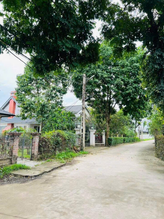CẦN BÁN 234M , CƯ YÊN, LƯƠNG SƠN – HÒA BINH ( cũ ) nay là PHÚ THỌ