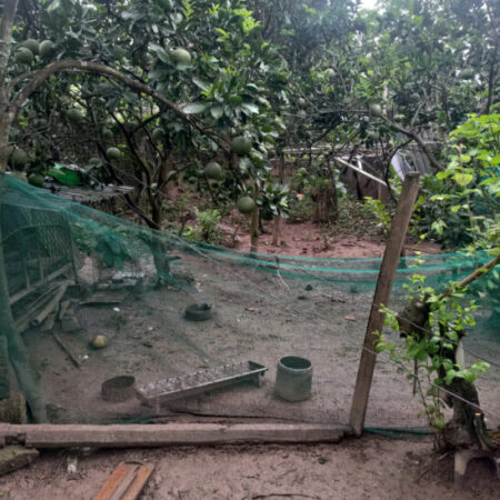 ĐẤT ĐẸP – GIÁ TỐT BÁN NHANH ĐẤT Xã Hoàng Diệu, Chương Mỹ, Hà Nội