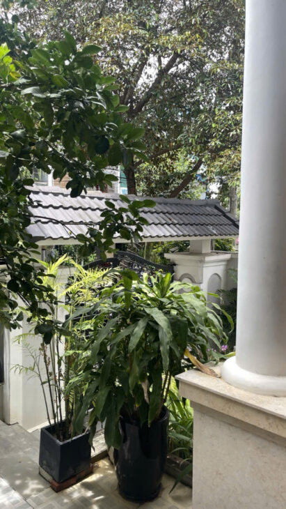 44 – Nguyễn Đỗ Mục – Biệt Thự 3 Tầng Gần Thăng Long – Khuê Trung – Cẩm Lệ – Đường 7m5 giá Bán 13,5