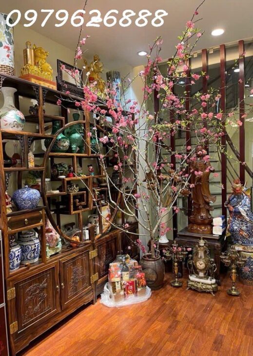 CƠ HỘI VÀNG – NHÀ PHỐ TRUNG LIỆT – CỰC HIẾM – Ô TÔ ĐỖ CỬA – KINH DOANH ĐỈNH CAO – 53x5T