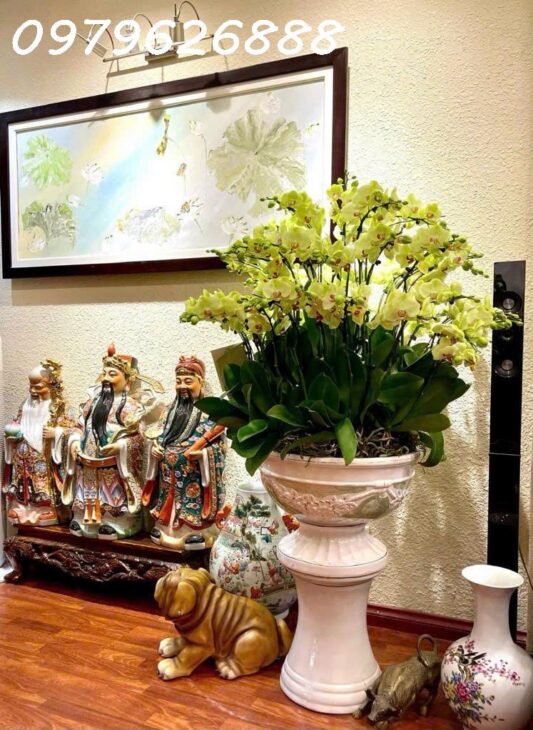 CƠ HỘI VÀNG – NHÀ PHỐ TRUNG LIỆT – CỰC HIẾM – Ô TÔ ĐỖ CỬA – KINH DOANH ĐỈNH CAO – 53x5T