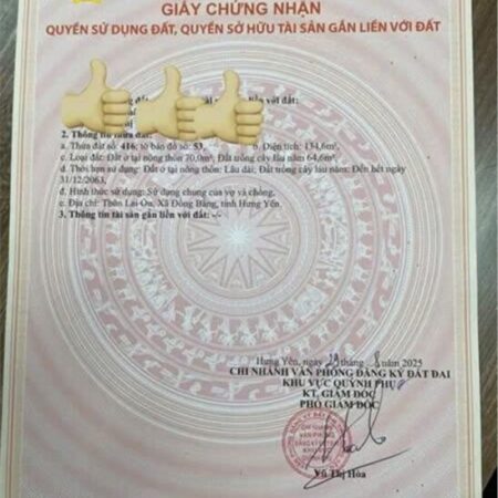 ĐẤT CHÍNH CHỦ – MẶT TIỀN Đường Trục Chính Thôn Lai Ổn, Xã An Quý, Quỳnh Phụ, Thái Bình