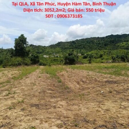ĐẤT ĐẸP – GIÁ ĐẦU TƯ –CHÍNH CHỦ BÁN 2 LÔ ĐẤT Tại QLA, Xã Tân Phúc, Huyện Hàm Tân, Bình Thuận
