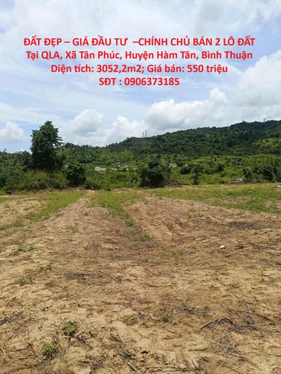 ĐẤT ĐẸP – GIÁ ĐẦU TƯ –CHÍNH CHỦ BÁN 2 LÔ ĐẤT Tại QLA, Xã Tân Phúc, Huyện Hàm Tân, Bình Thuận