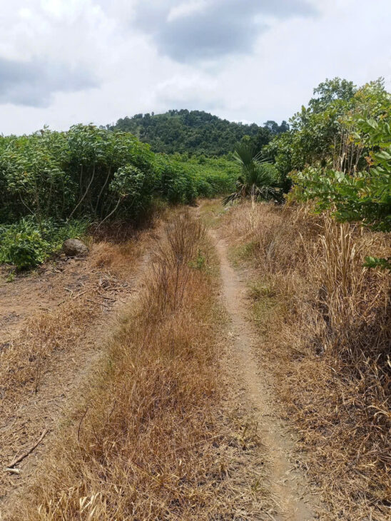 ĐẤT ĐẸP – GIÁ ĐẦU TƯ –CHÍNH CHỦ BÁN 2 LÔ ĐẤT Tại QLA, Xã Tân Phúc, Huyện Hàm Tân, Bình Thuận