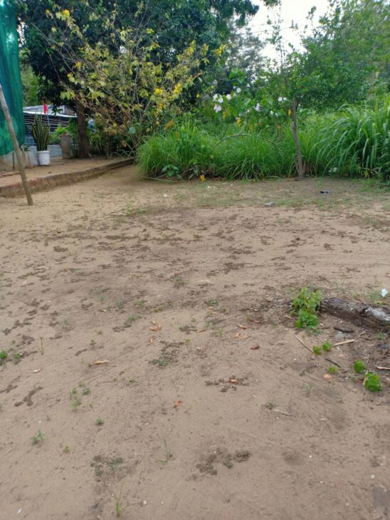 HOT HOT – CẦN BÁN LÔ ĐẤT TẠI Mỹ Long Nam, huyện Cầu ngang tỉnh Trà Vinh