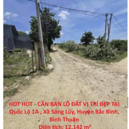 HOT HOT – CẦN BÁN LÔ ĐẤT VỊ TRÍ ĐẸP TẠI Quốc Lộ 1A , Xã Sông Lũy, Huyện Bắc Bình, Bình Thuận