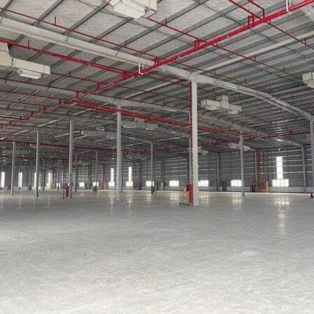 🏭 CHO THUÊ KHO XƯỞNG TẠI LÊ CHÂN – HẢI PHÒNG 🏭 Diện tích: 3.000m² 🏭 CHO THUÊ KHO XƯỞNG TẠI LÊ CHÂN – HẢI PHÒNG 🏭 Diện tích: 3.000m²