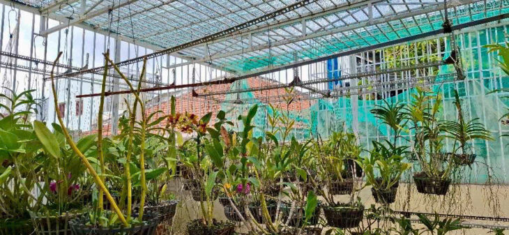 🏡 NHÀ 3 TẦNG VIP – PHƯỚC LONG B, Q9 – CHỈ 12 TỶ