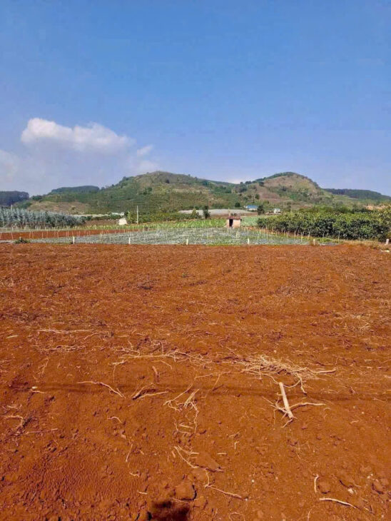 GIÁ 1 TỶ 080 TRIỆU – LÔ ĐẤT ĐẸP An Ninh, Xã Liên Hiệp, Đức Trọng, Lâm Đồng